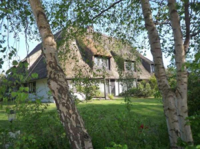 Haus Hallig Hooge FeWo 8